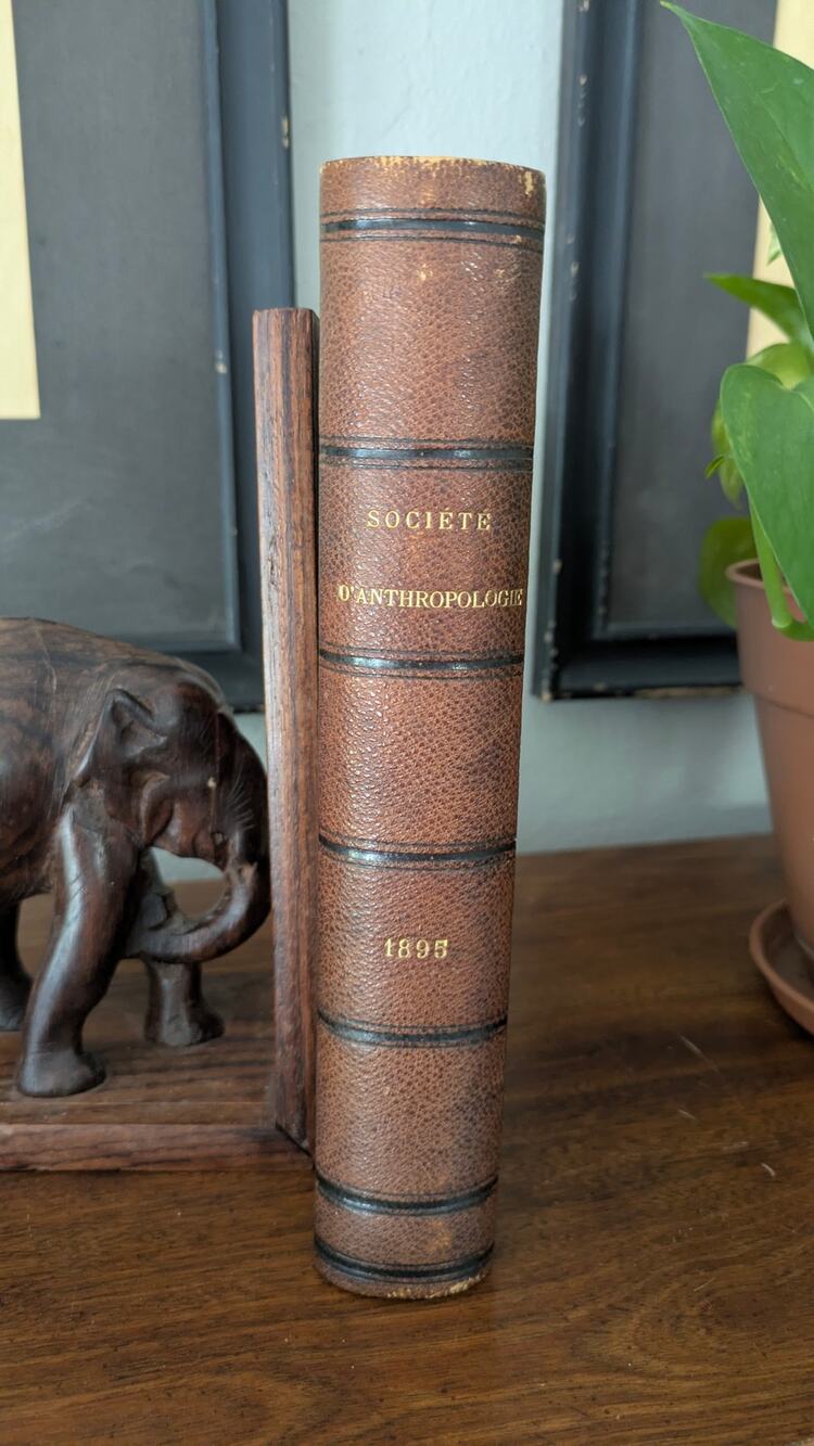 Societe d'Anthropologie de Paris 1895 Complete Leather Bound
